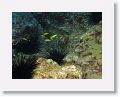 06-Bequia - 61